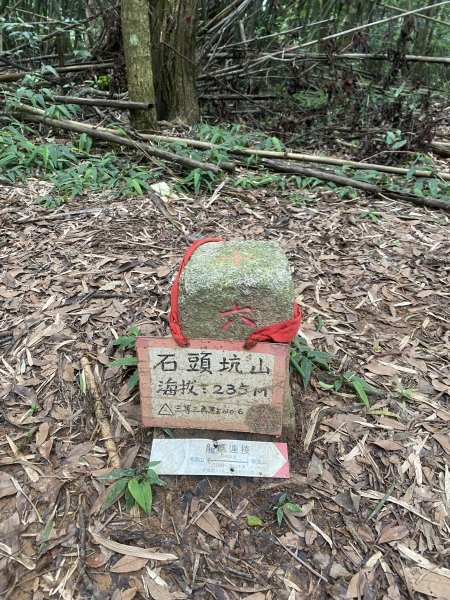 20250614-《皮皮獅秘密任務啟動！搶先探路三段崎古道｜森遊竹縣鐵粉任務大公開》2852031