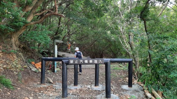 《台中》颱風前夕｜大肚環保公園登山步道(北段)202409292606715