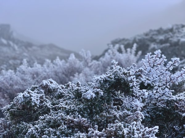 糖霜玉山主峰1556748