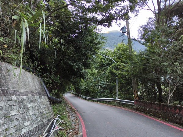 [玉山尋寶任務-07/12] 2025_0824 八通關雲龍瀑布步道2870422