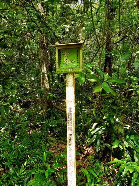 淡蘭中路第四段：威惠廟至灣潭古道登山口(崩山坑線)2882724