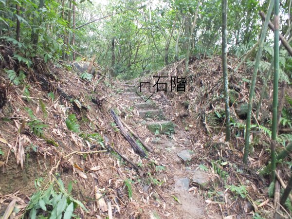 百二階古道+苕谷瀑布+逸仙山+泰和樓2734429