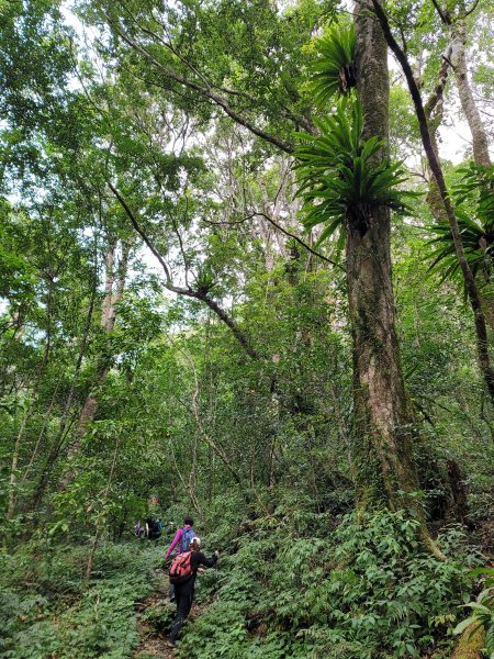 福巴越嶺國家步道2364470