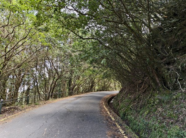 [玉山尋寶任務-09/12] 2025_0928 麟趾山步道2899874