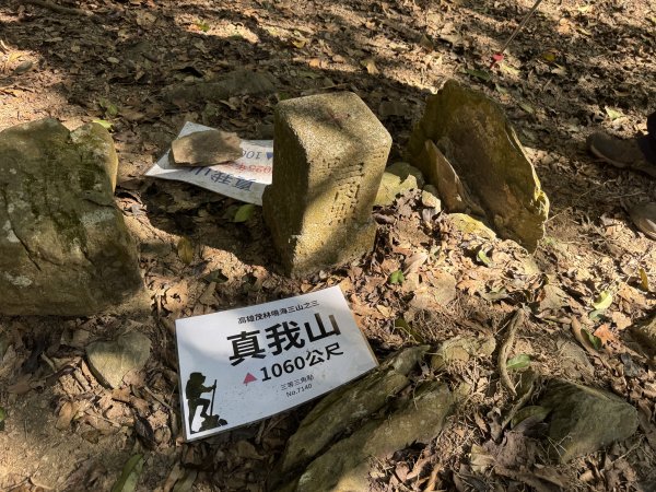 南真我山 & 真我山 & 真我山北峰 & 五公山 (20260215)3000605