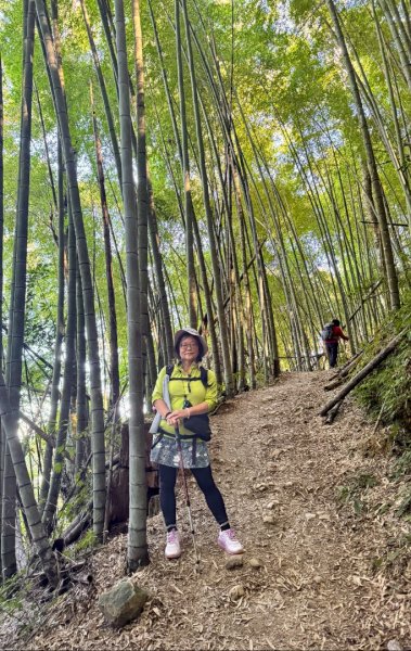 九穹神木 左訪嘉南雲峰 右到好望角看風景上石壁山(小百岳#55)2945066