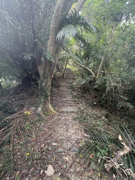 20251101烏山縱走北段 雲山寺至刣牛湖山(途經風空子山.孟璋山.烏山.刣牛湖山北峰)2928760