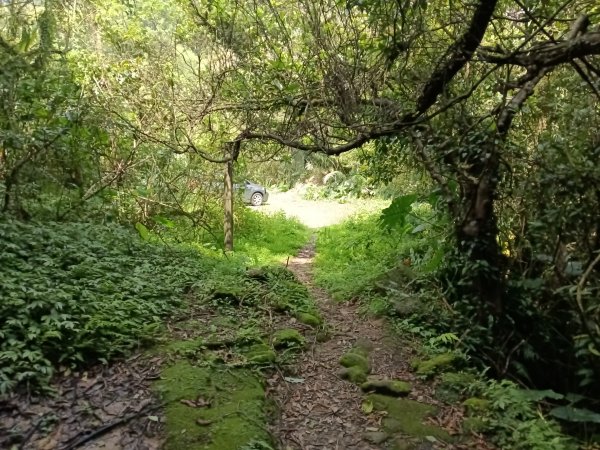 五指山古道+友蚋山南峰2757046