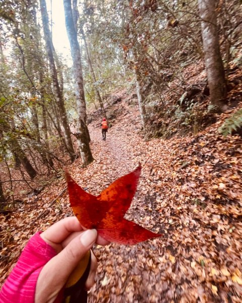 霞喀羅古道-養老進-白石駐在所折返2677520