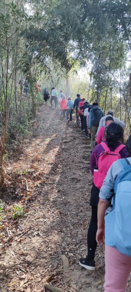 紫南宮-八通關古道(社寮線)2669247