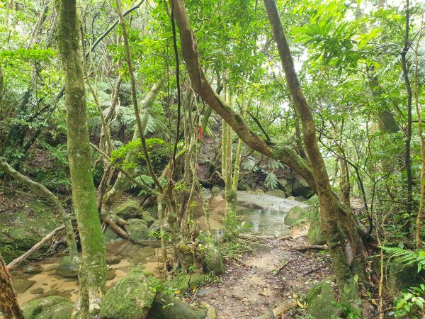 臺北大縱走第四段1515955