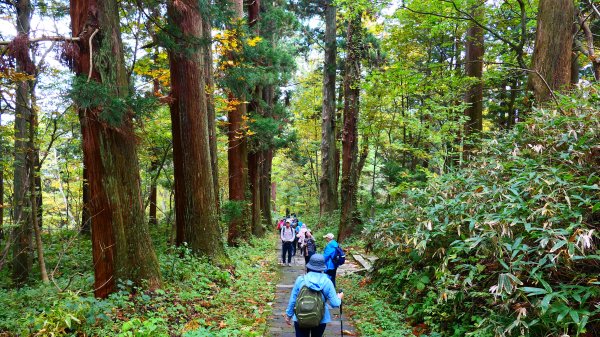 山形縣羽黑山神社2929690