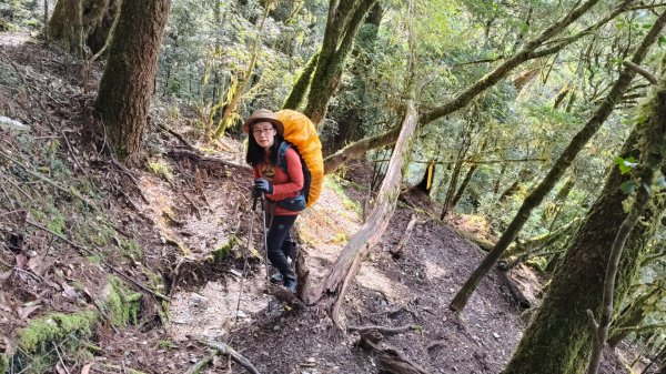 新康五天~戒茂斯進，出瓦拉米2949607