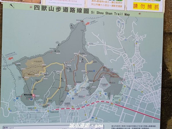 【台北信義】搭捷運爬山趣。 小百岳集起來。編號13小百岳-南港山步道1755556