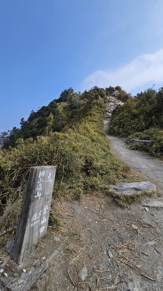 【閒閒南橫摘星去！】百岳#077關山嶺山。美麗壯闊中卻帶點淡淡哀愁的南橫公路。3036064