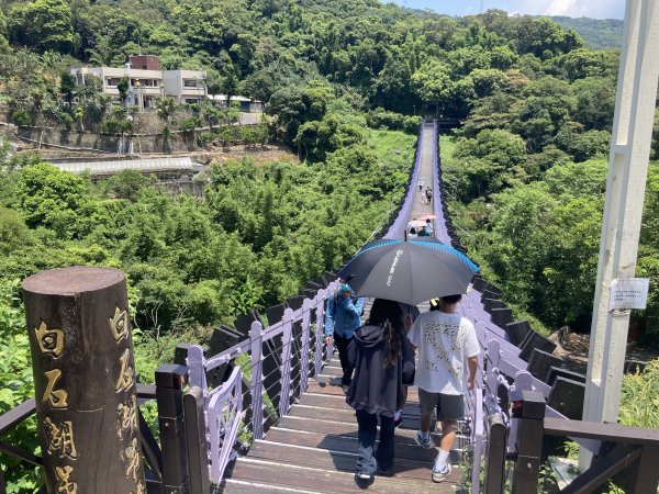 2022.07.31 【臺北大縱走第四段】大湖公園-風櫃嘴：圓覺寺瀑布、白石湖吊橋、碧山、梅花山1799311