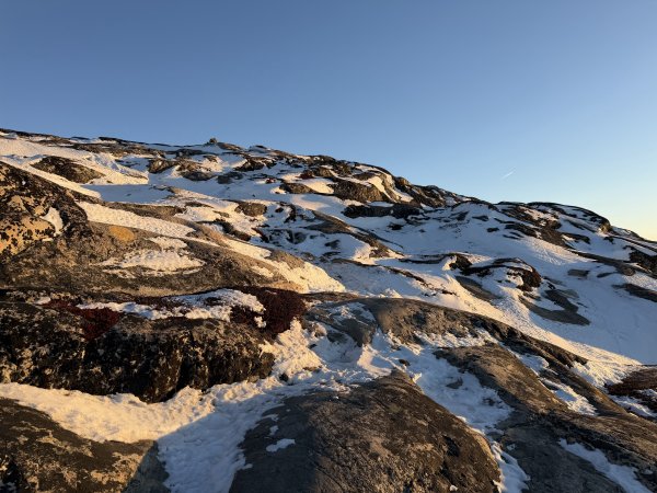 [紐約馬之行-42] 2025_1107 黃線步道-後2950718