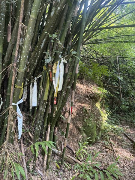 90 台北大縱走第7段（殘念之永定理紙寮坑步道）115.09.263125409