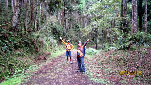【油羅山/露營】 仙境舒活健走，雲端徜徉野趣！2887906