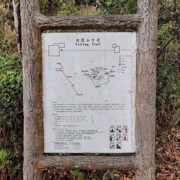 小百岳No.27⛰飛鳳山(中坑山)2405841