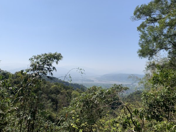 20250322南投松柏坑山-大棚山2745858