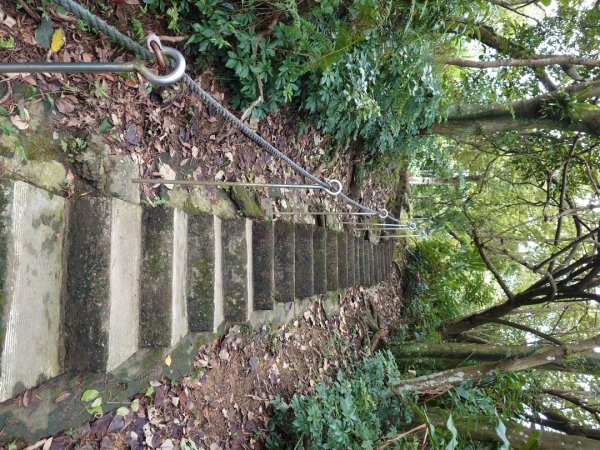 微笑山線之大棟山系2838141