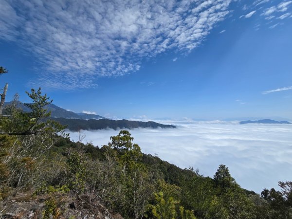 蝶夢八唐（裡冷登山口往返）八仙山出雲海下山順賞富士櫻2722718