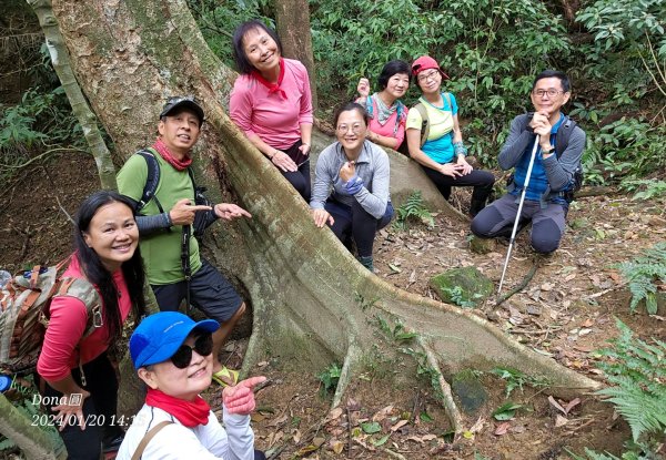 東勢大崙、東勢坑山、觀音湖山O走2986261