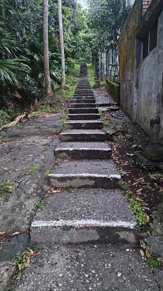 台東鯉魚山3017905