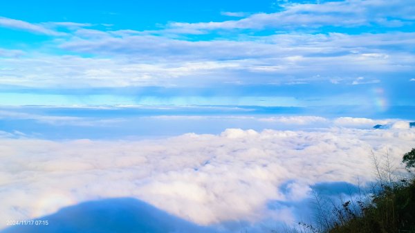 阿里山 #隙頂二延平 #頂石棹 #觀音圈 #雲海 #琉璃光 #雲瀑 #霧虹 11/172649774