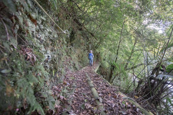 闊瀨古道-沿北勢溪谷而行的夏末之旅（淡蘭古道）2287658