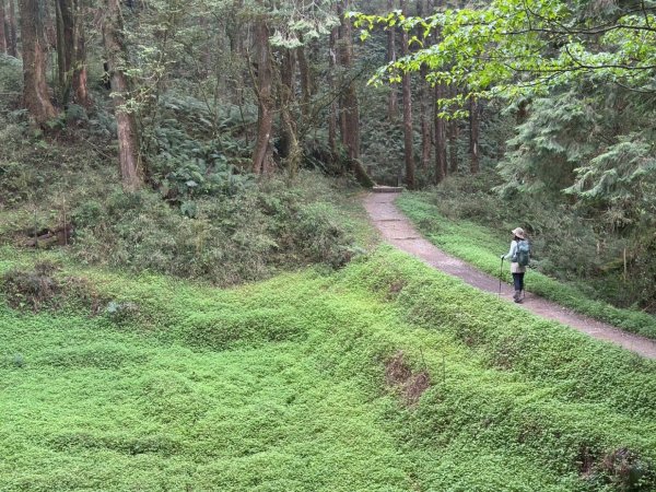 阿里山 眠月線2767562
