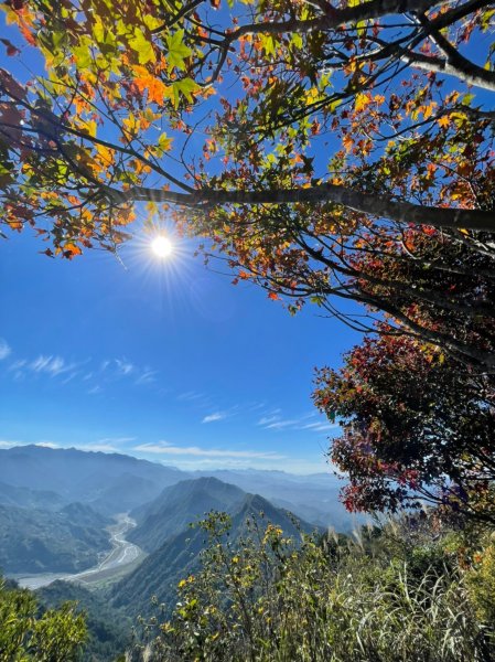 馬那邦山賞楓趣1549562