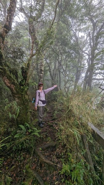 113.06.01魯壁山-東穗山之旅2529869