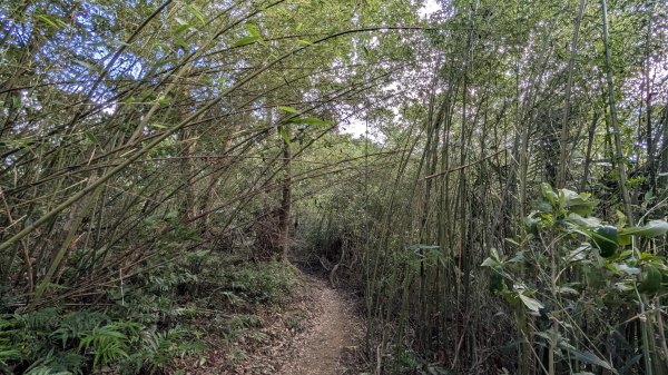 114.11.23龍泉山寺-成福山-十八羅漢岩-石門內尖山-石門內尖山東峰之旅2943728
