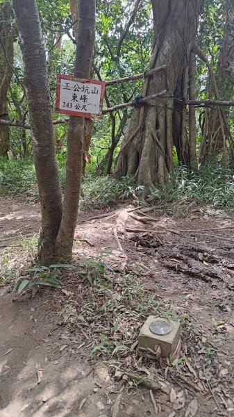 桃園虎頭山3121729