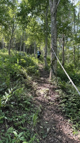 20240429 桃園復興枕頭山薑母島2492279