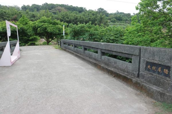 〔三芝〕桐花步道，〔淡水〕南瓜隧道2139366