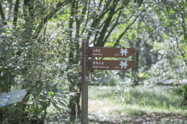 闊瀨古道-沿北勢溪谷而行的夏末之旅（淡蘭古道）2287617