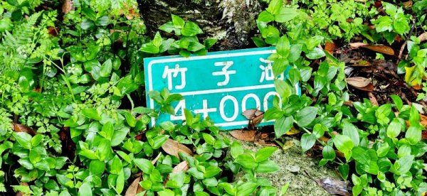 頂湖山（泉源山），青楓步道 ，竹子湖2122964