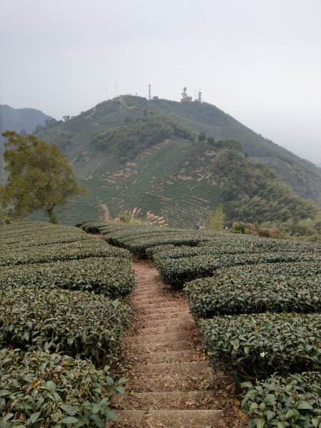 梨子腳山(小百岳#57) & 太平雲梯 (2021/1/29)1423190