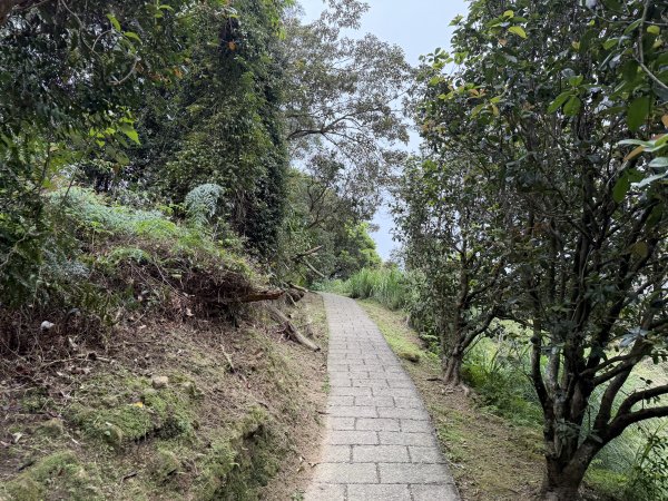 [微笑山線_第四段] 2026_0321 天上山系_石門內尖山東峰3021311