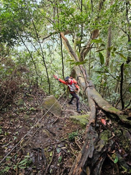 【苗栗郊山聖稜線】仙神象18連峰大縱走2675982