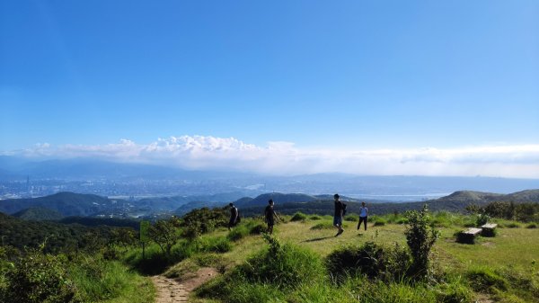 頂山-石梯嶺-擎天崗1558870