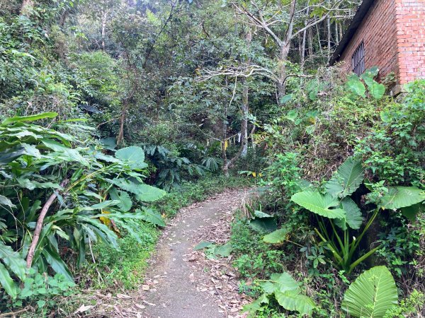九份二山登山步道2688021