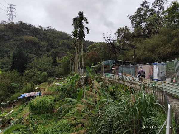 【臺北大縱走6】中華科大步道→九五峰→南港山→糶米古道→軍功山→中埔山→福州山公園→富陽自然生態公園2730072