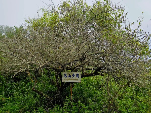 刣牛湖山-小百岳#70-台南市南化區封面