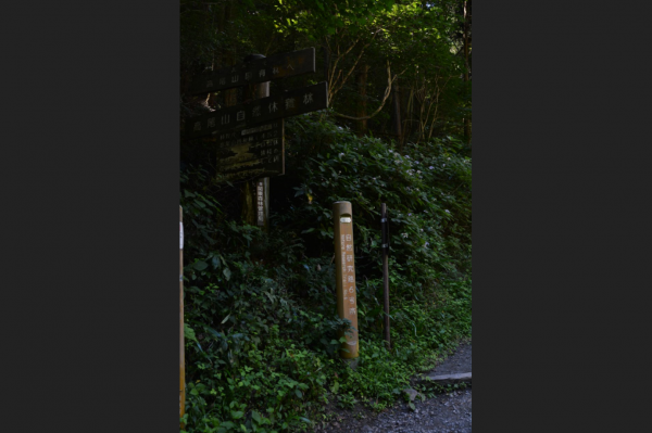 日本高尾山溪澗健行（6號步道）668982