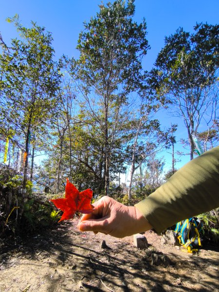 2025-12-21 武界山、獅凸魯山、橫屏山、橫屏山西峰2969707