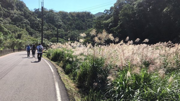 09.草嶺古道依舊466711